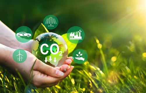 Strategii ”net zero” (zero emisii) pentru sectorul automobilelor